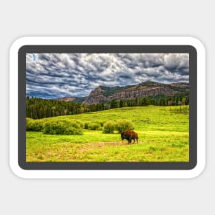 09551  Bison in Yellowstone Sticker